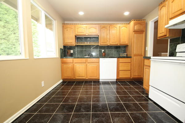 Lower level fireplace